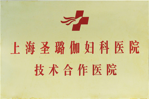 λ